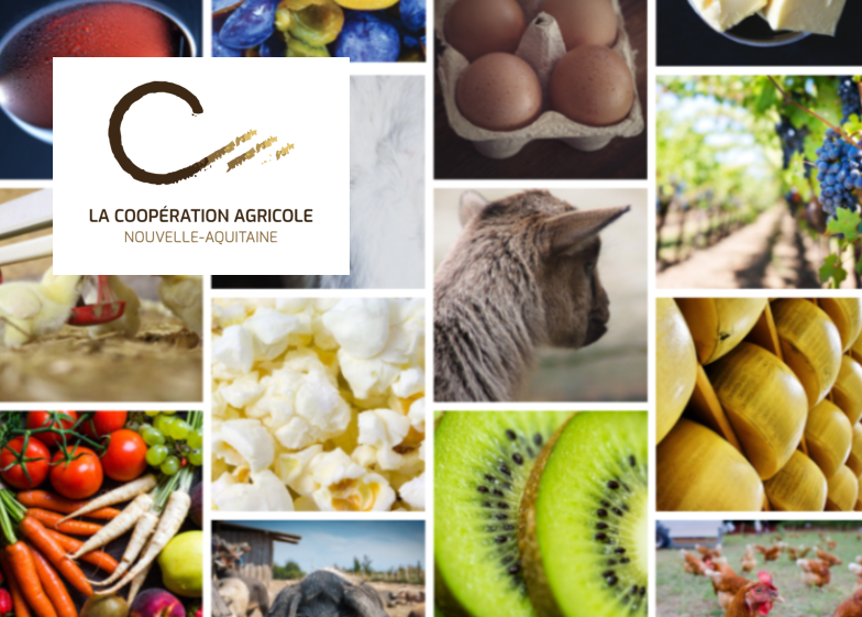 Catalogue de formation.png Guide de l'offre alimentaire
