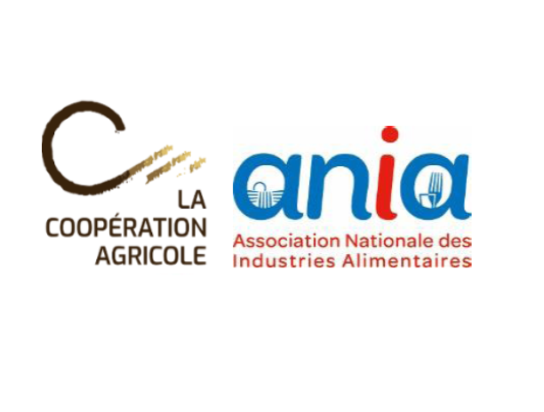 logos LCA Ania