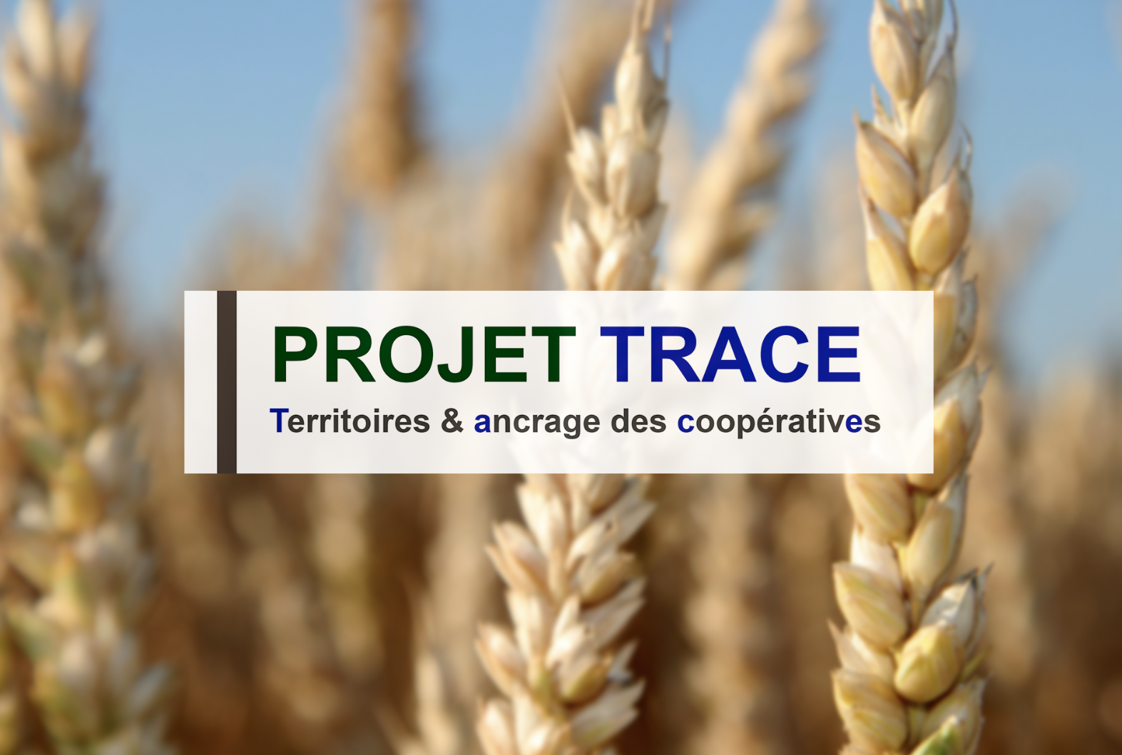 Projet trace premiere page.png Projet trace premiere page.png