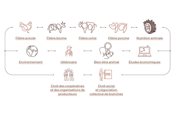 Les expertises du PA.jpg Expertise du Pôle animal