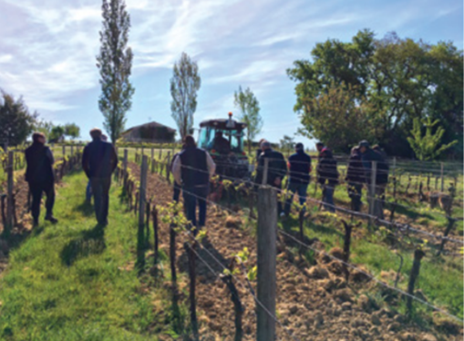 BORDEAUX FAMILIES