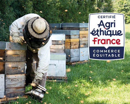 compagnons du miel