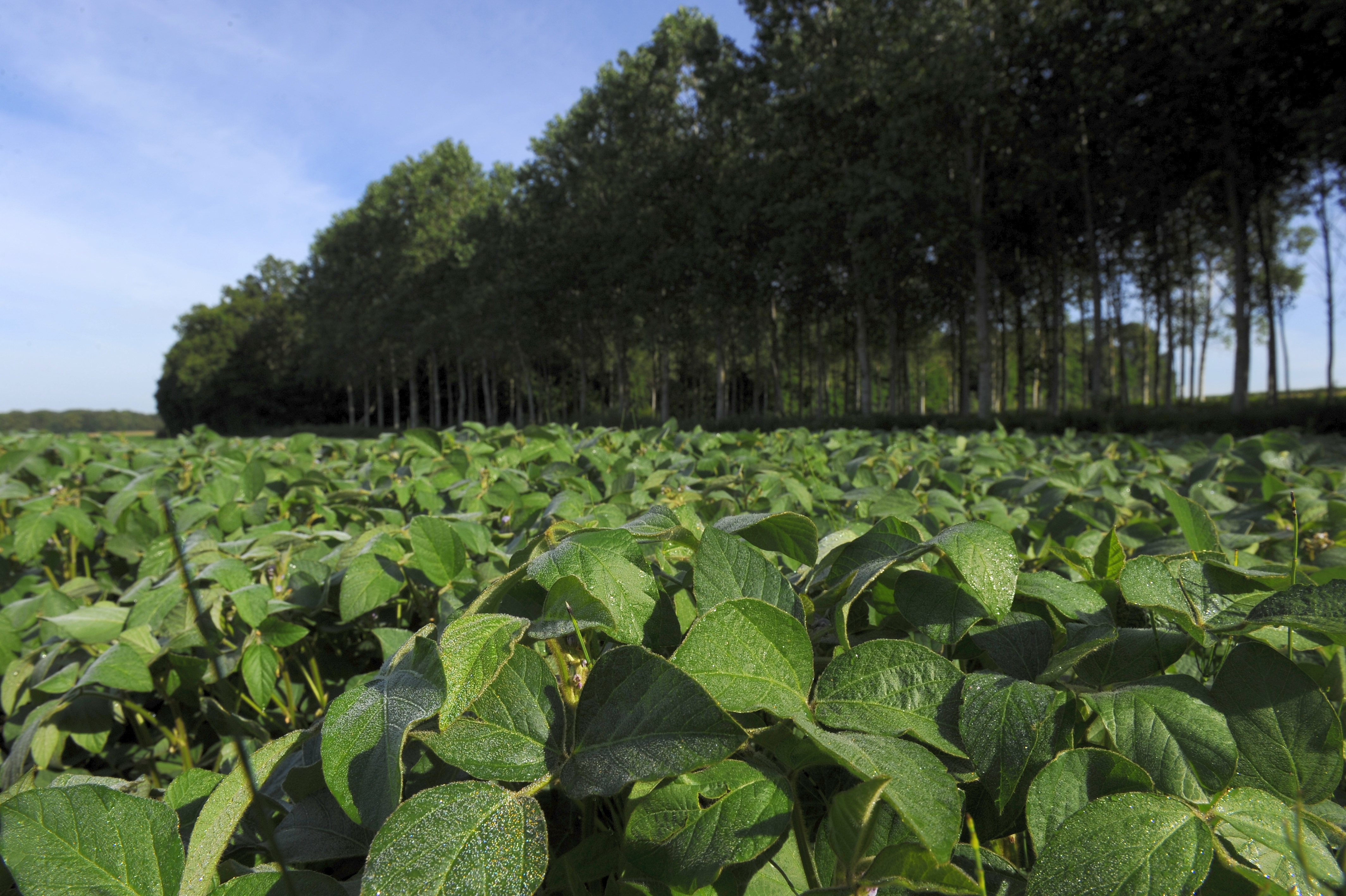 Solutions coopératives