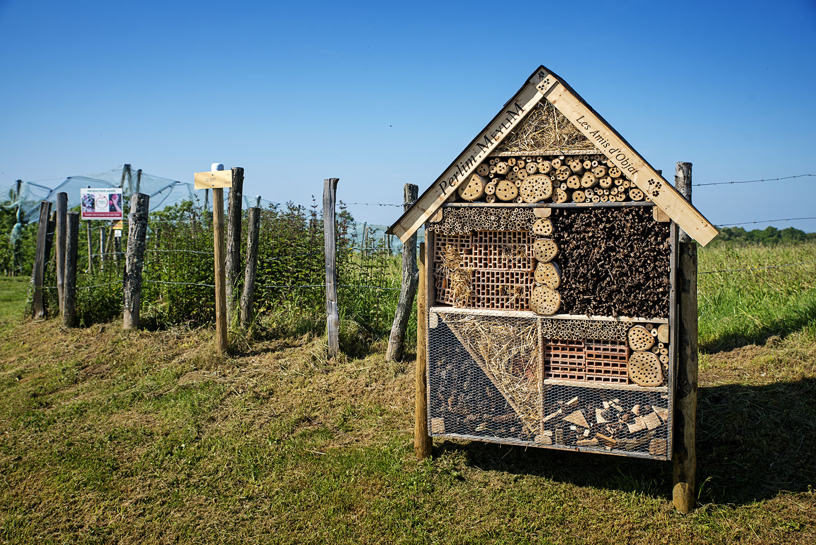 Solutions coopératives