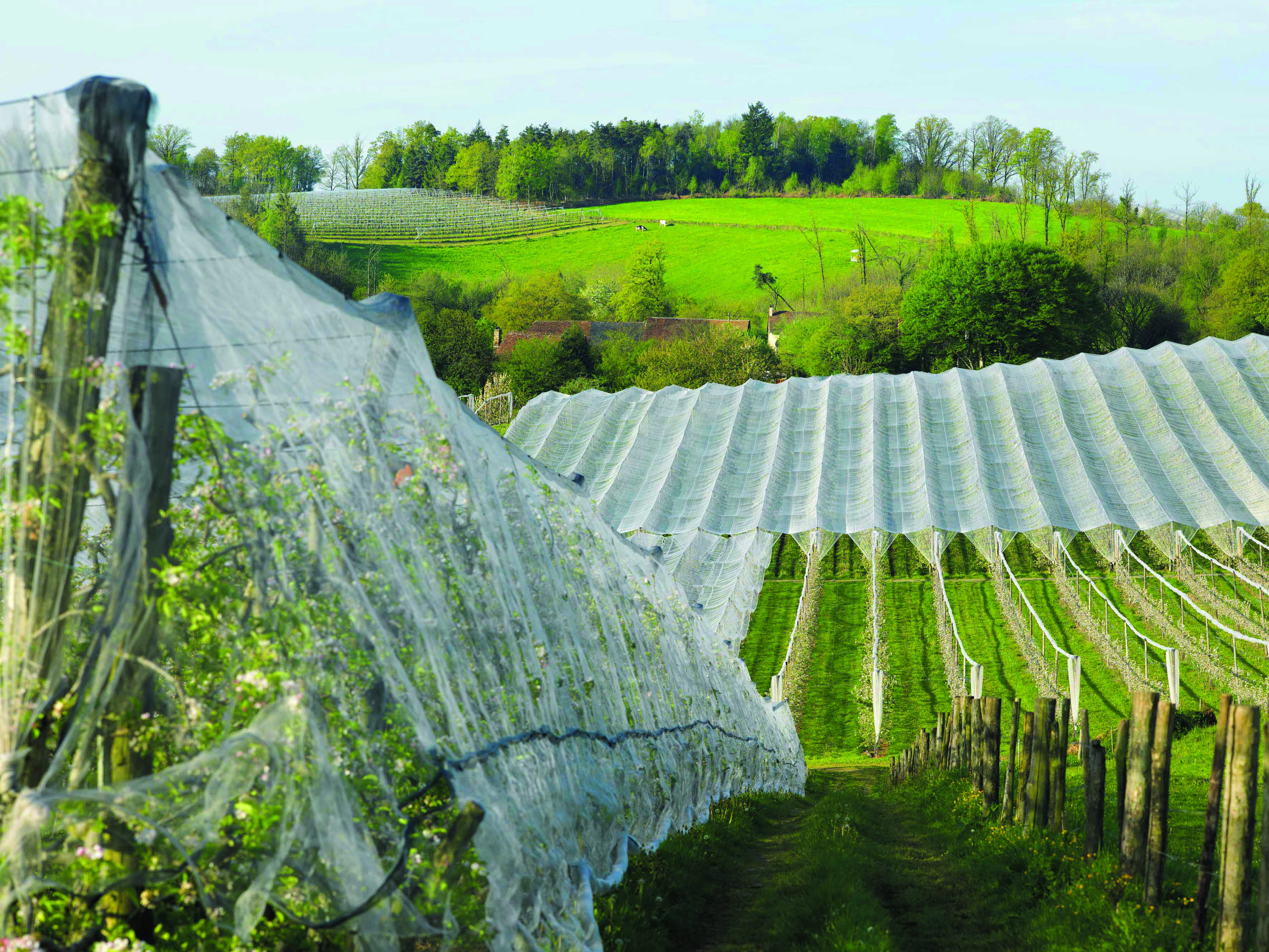 Solutions coopératives