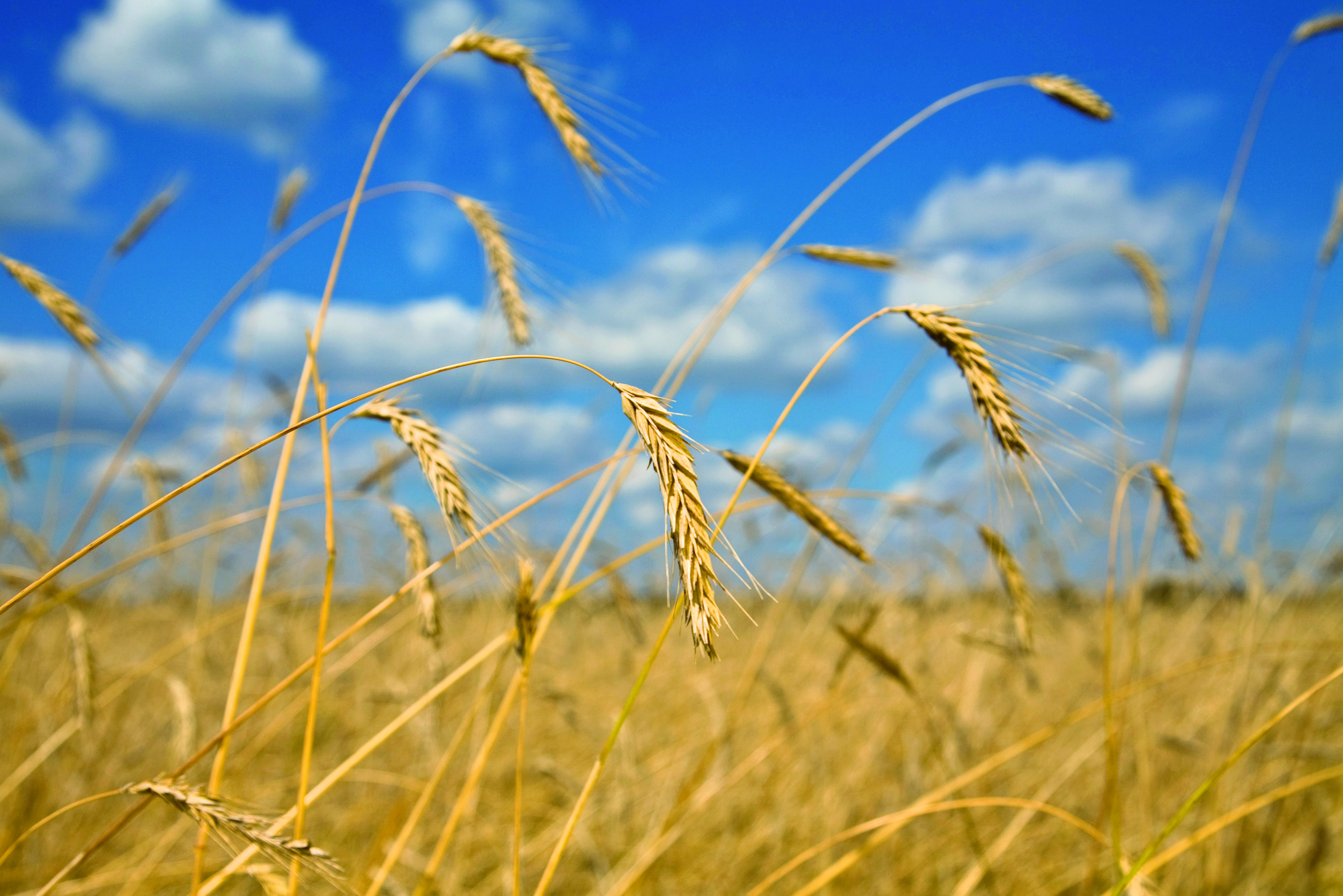 Solutions coopératives
