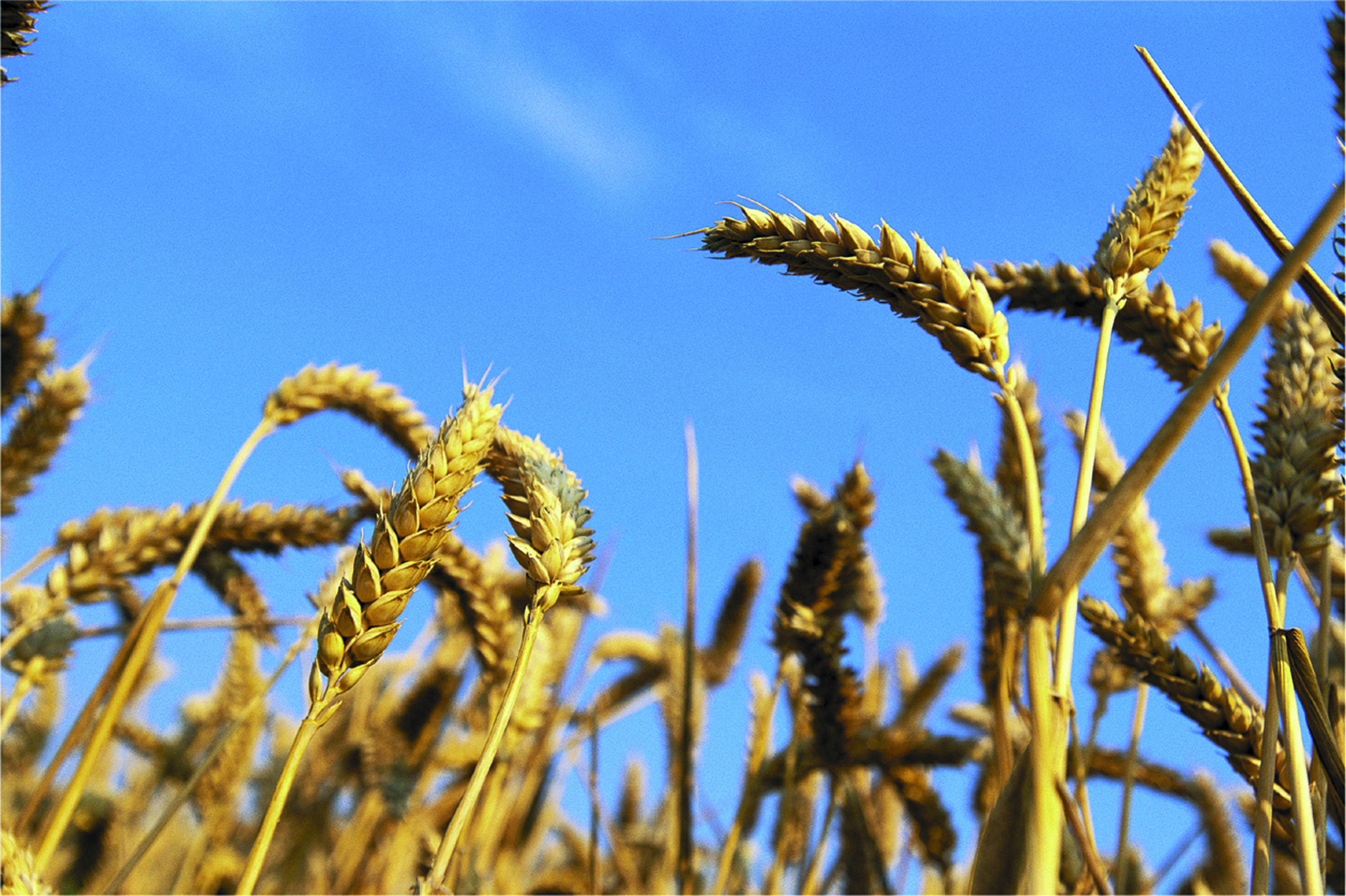 Solutions coopératives