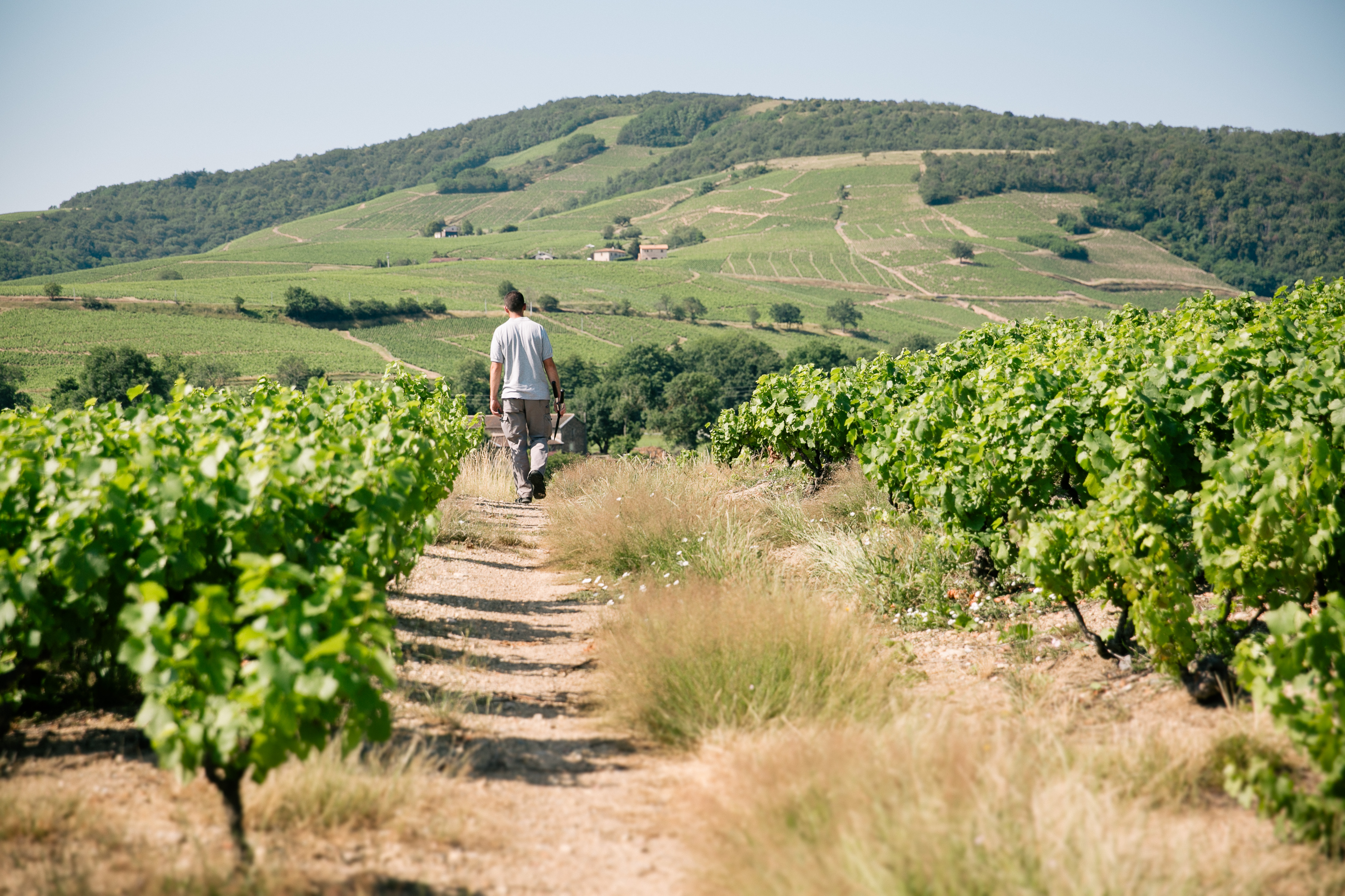 Solutions coopératives