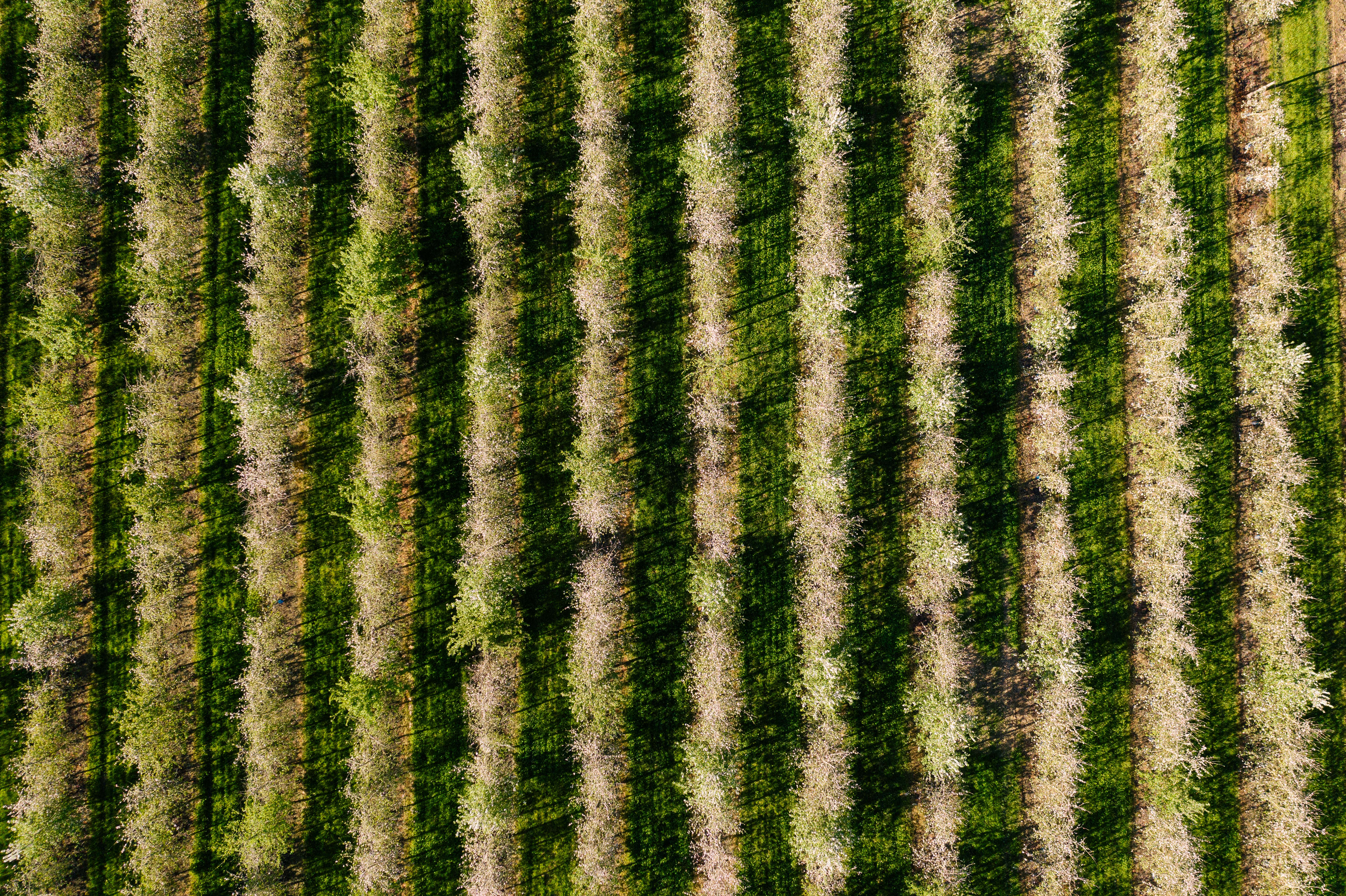 Solutions coopératives