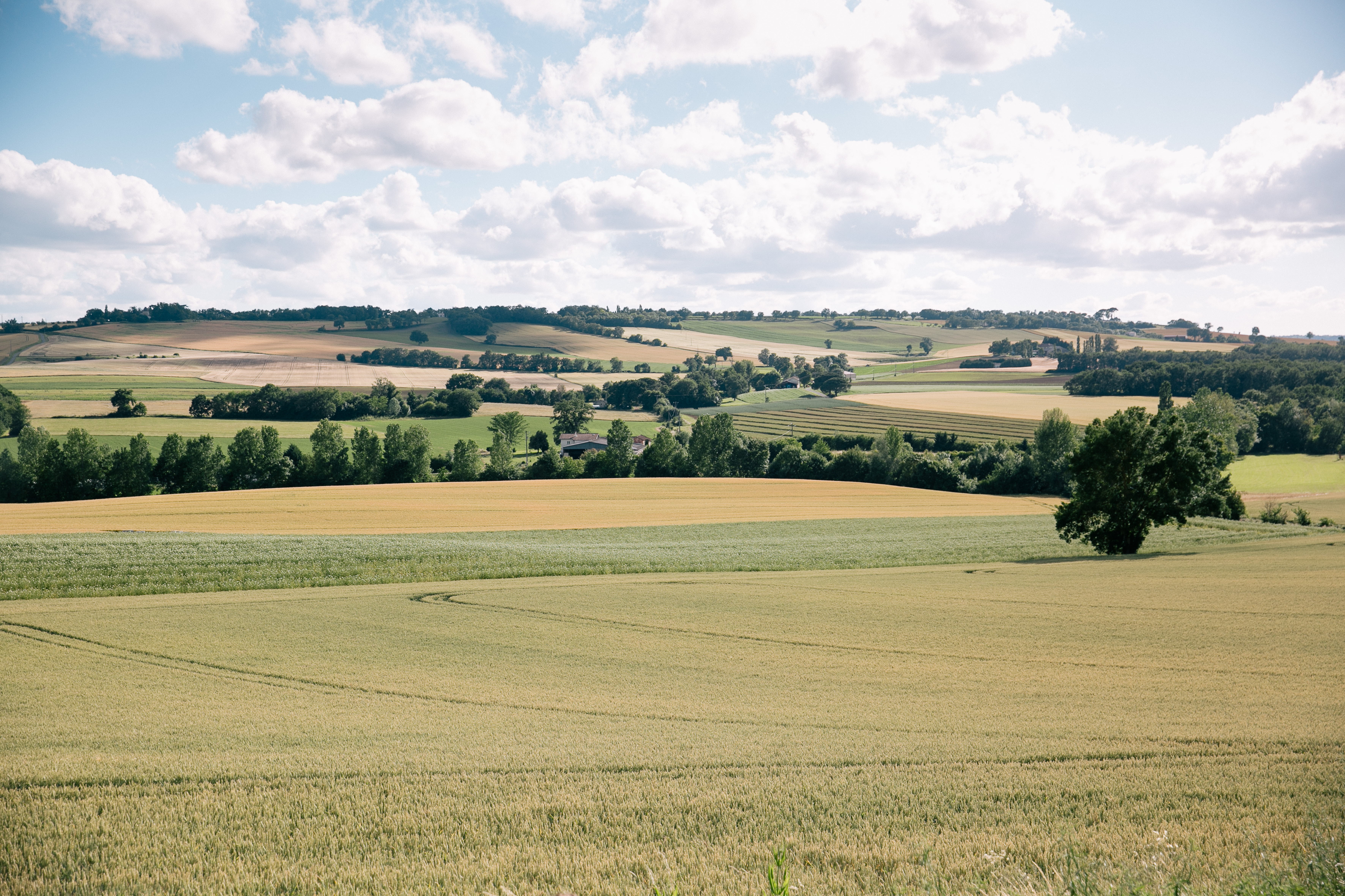 Solutions coopératives