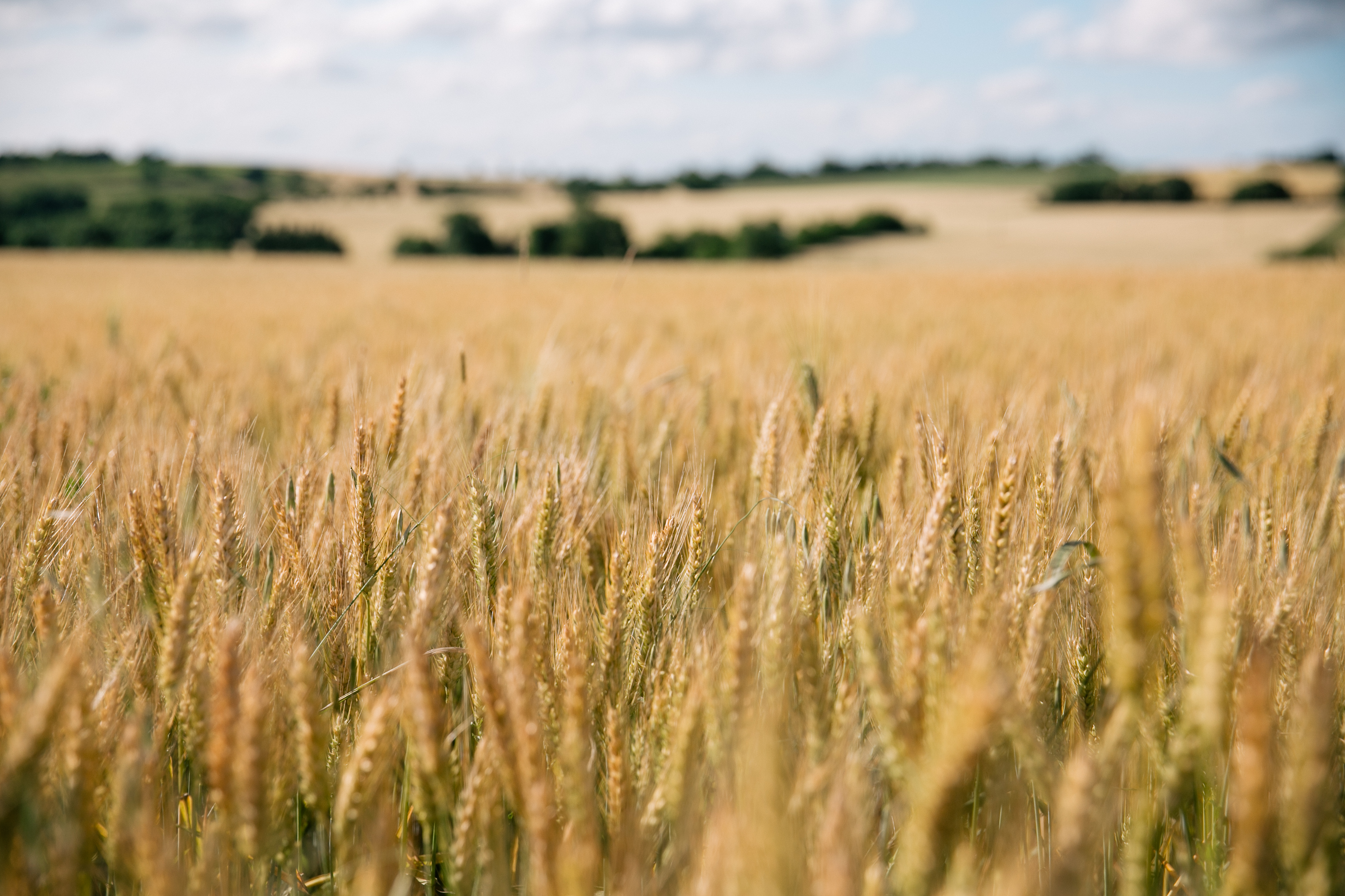 Solutions coopératives