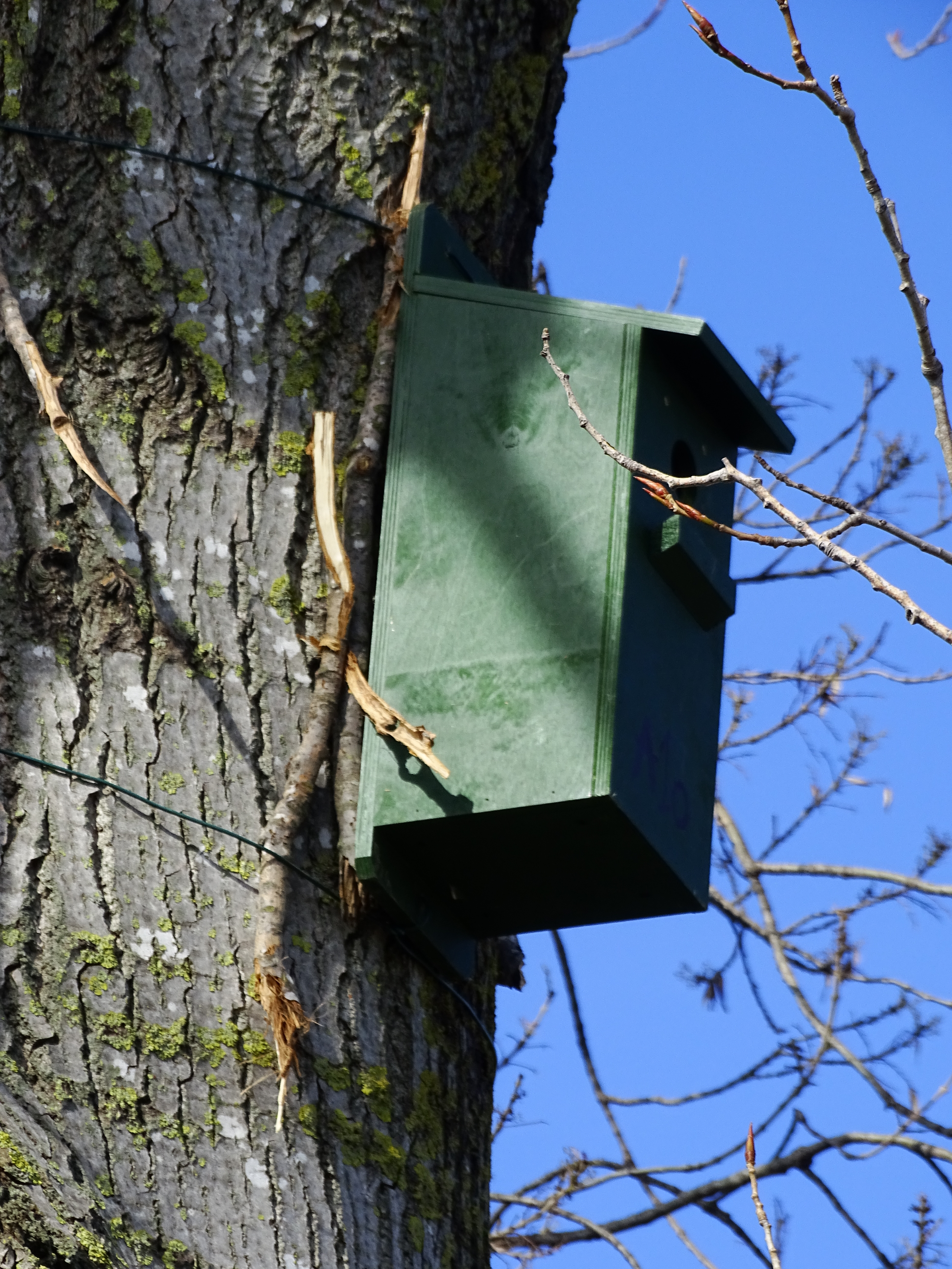 Solutions coopératives