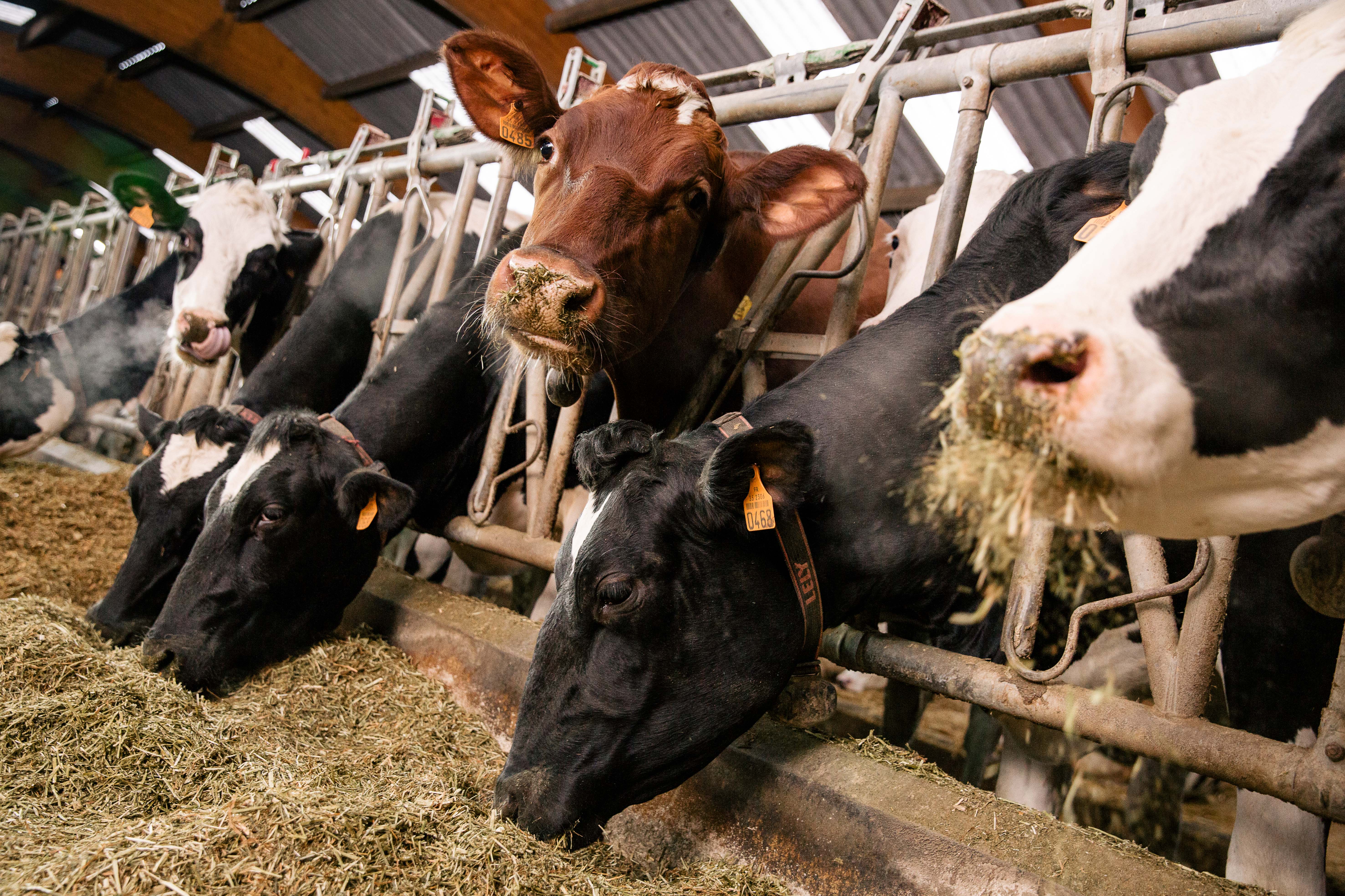 Solutions coopératives