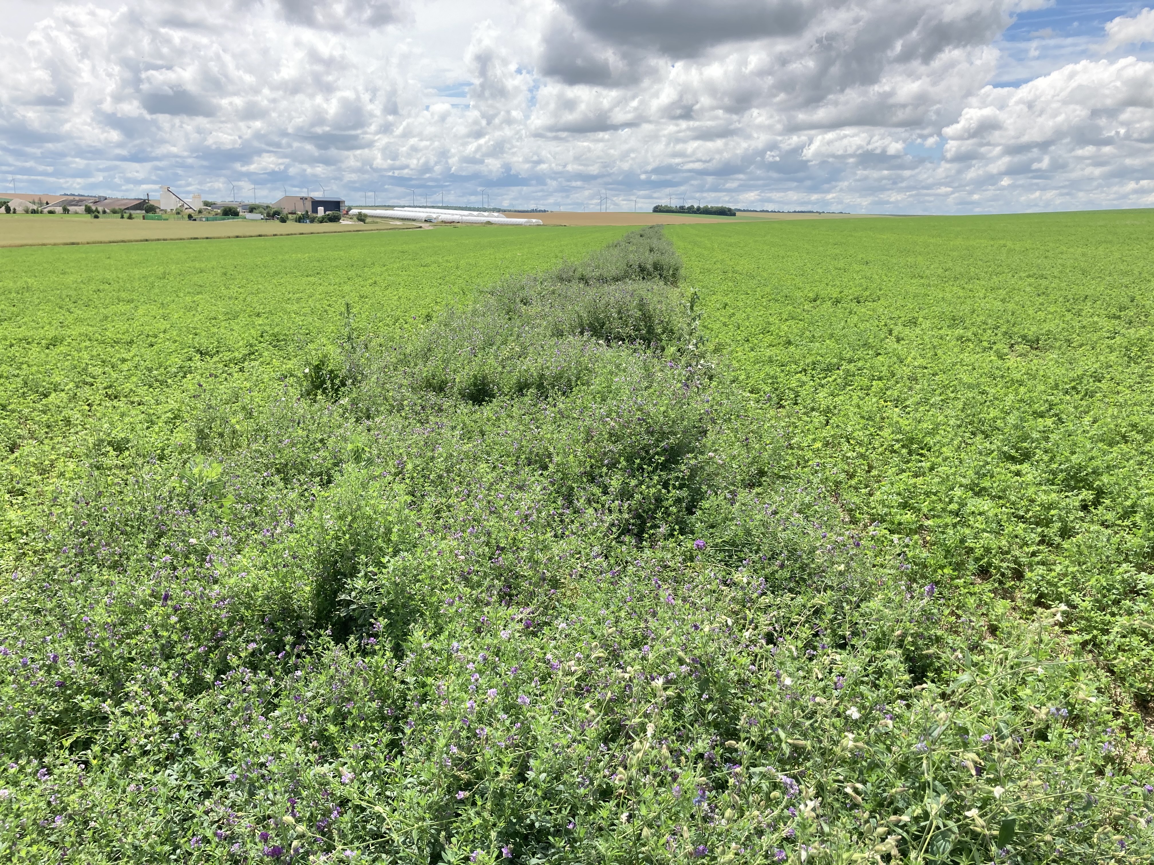 Solutions coopératives