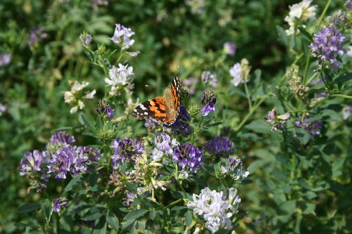 Solutions coopératives