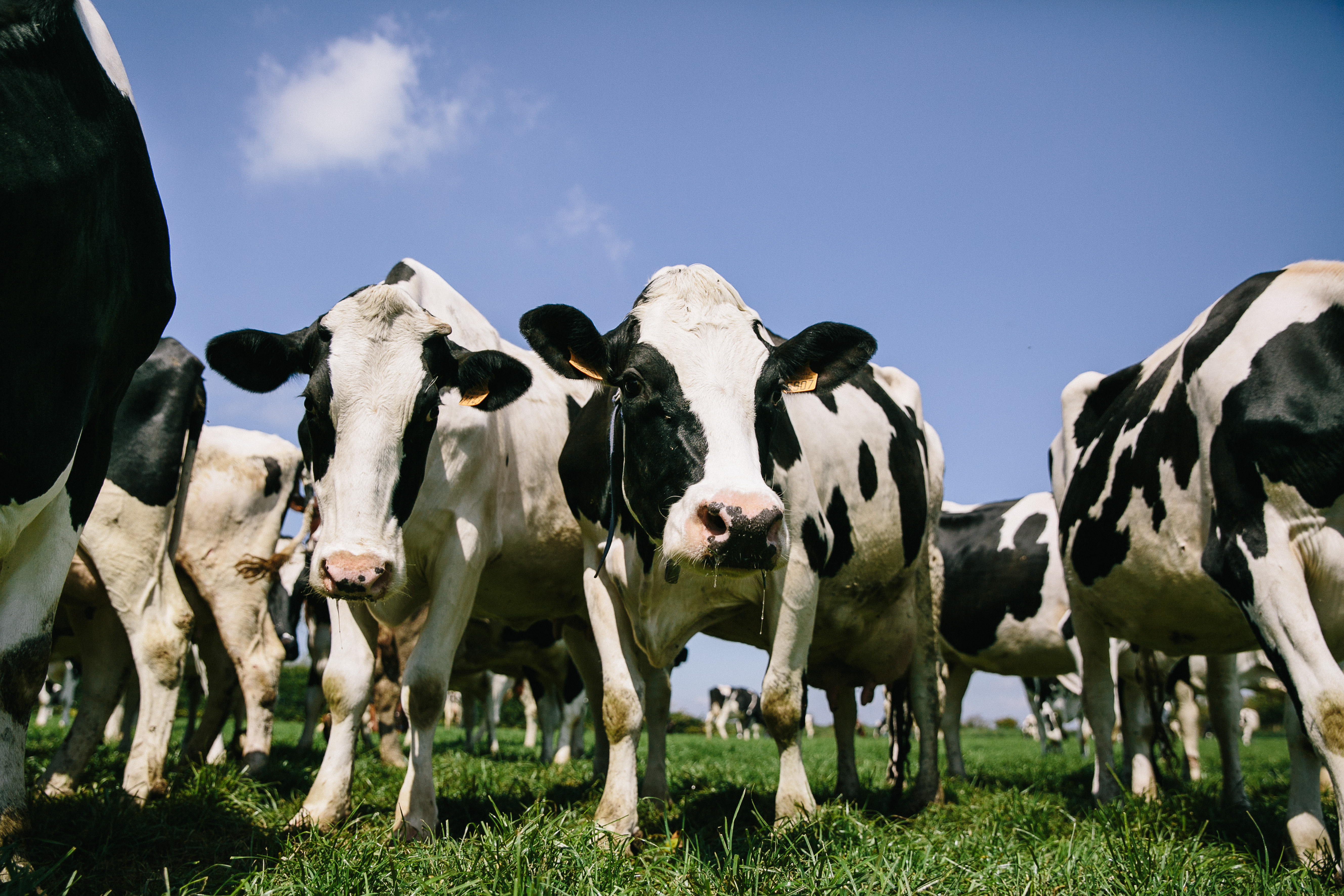 Solutions coopératives