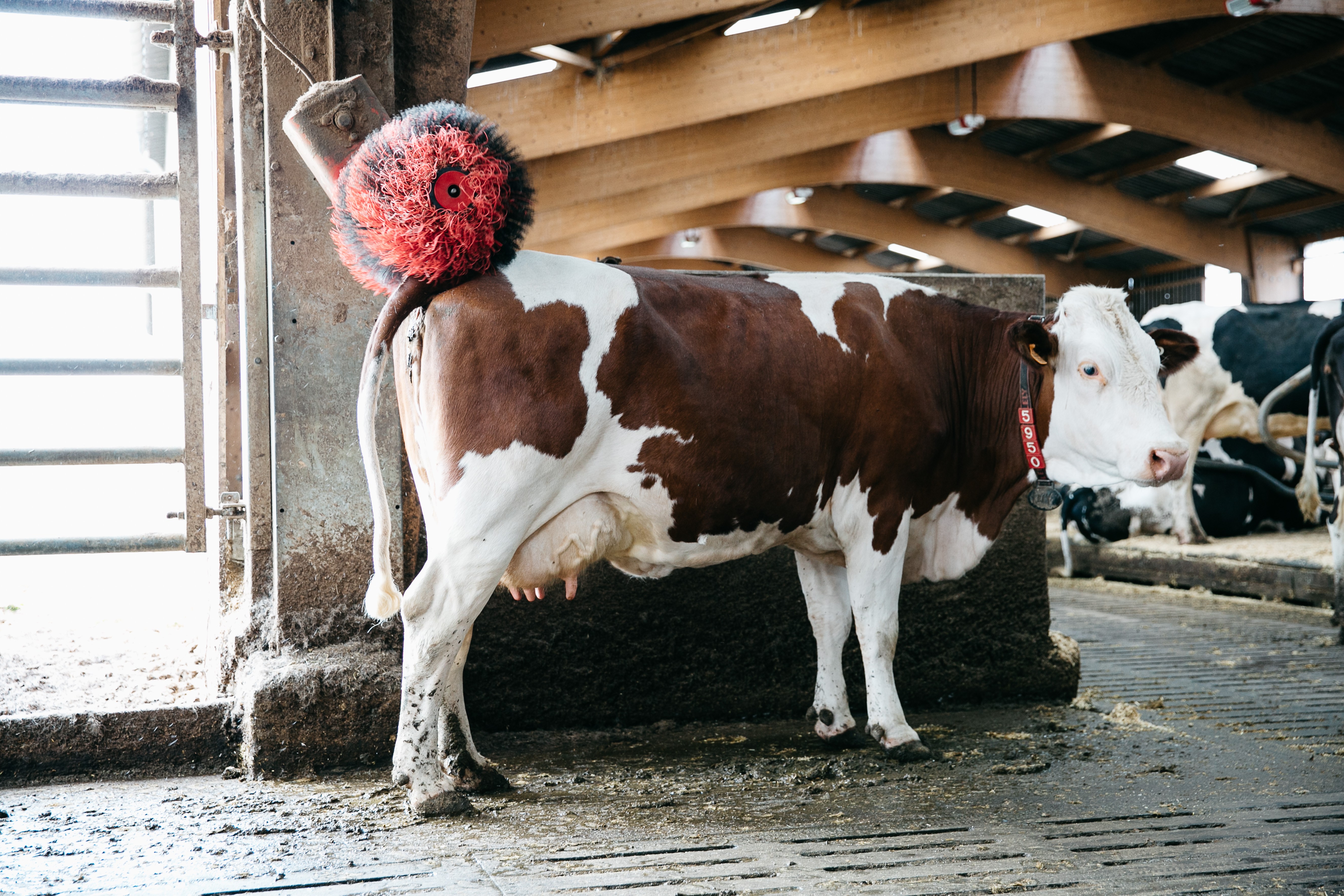 Solutions coopératives
