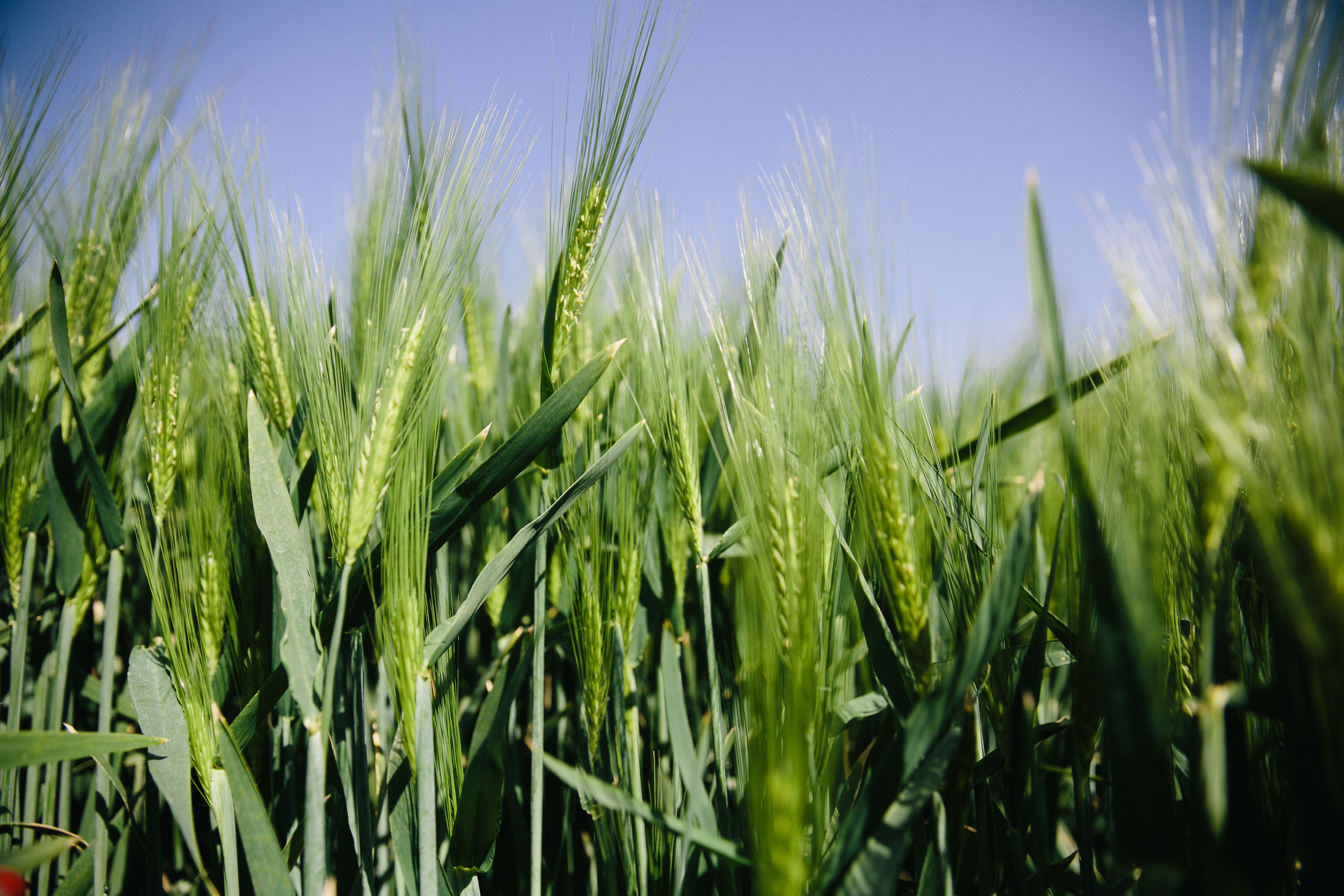Solutions coopératives