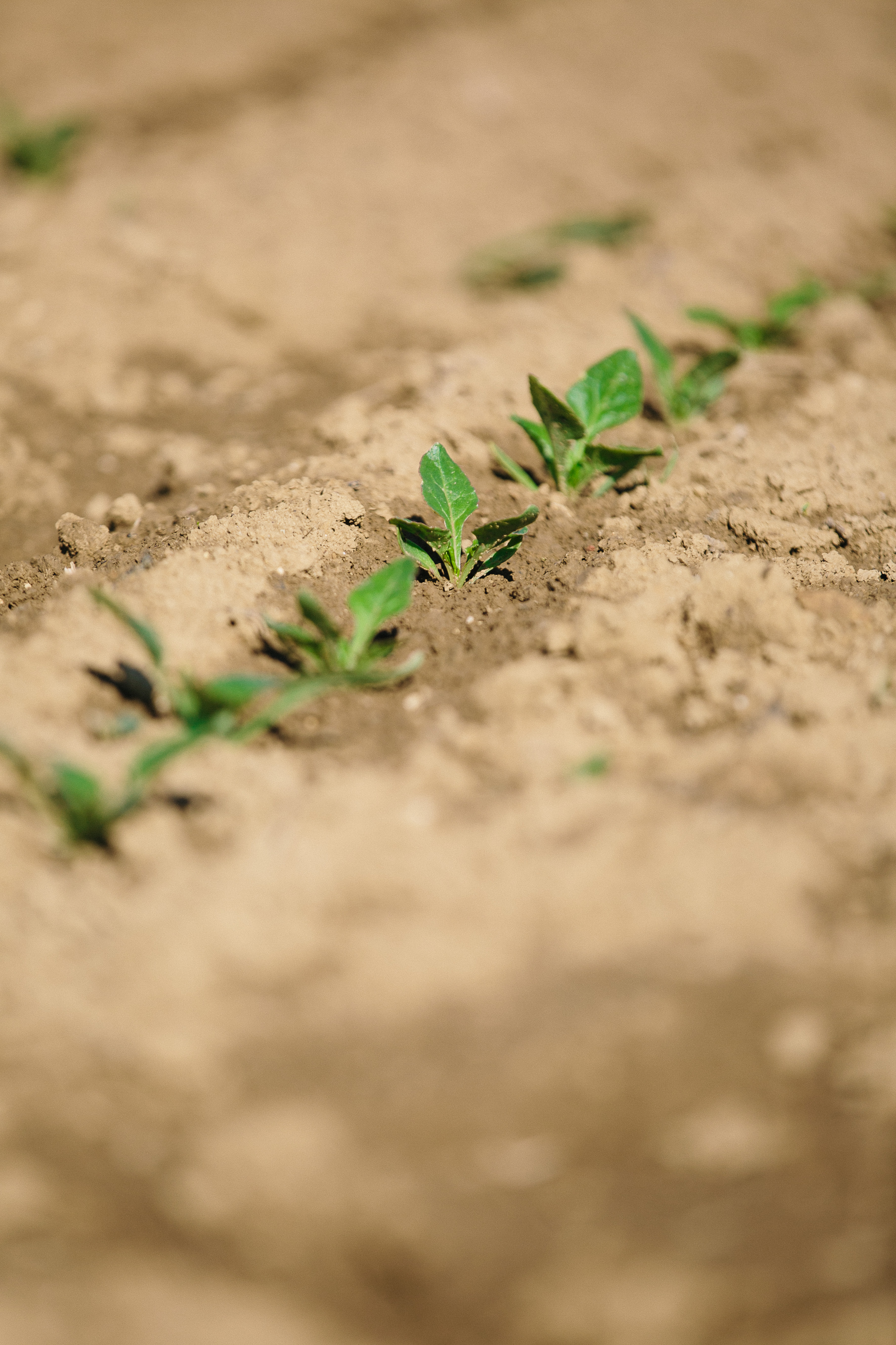 Solutions coopératives