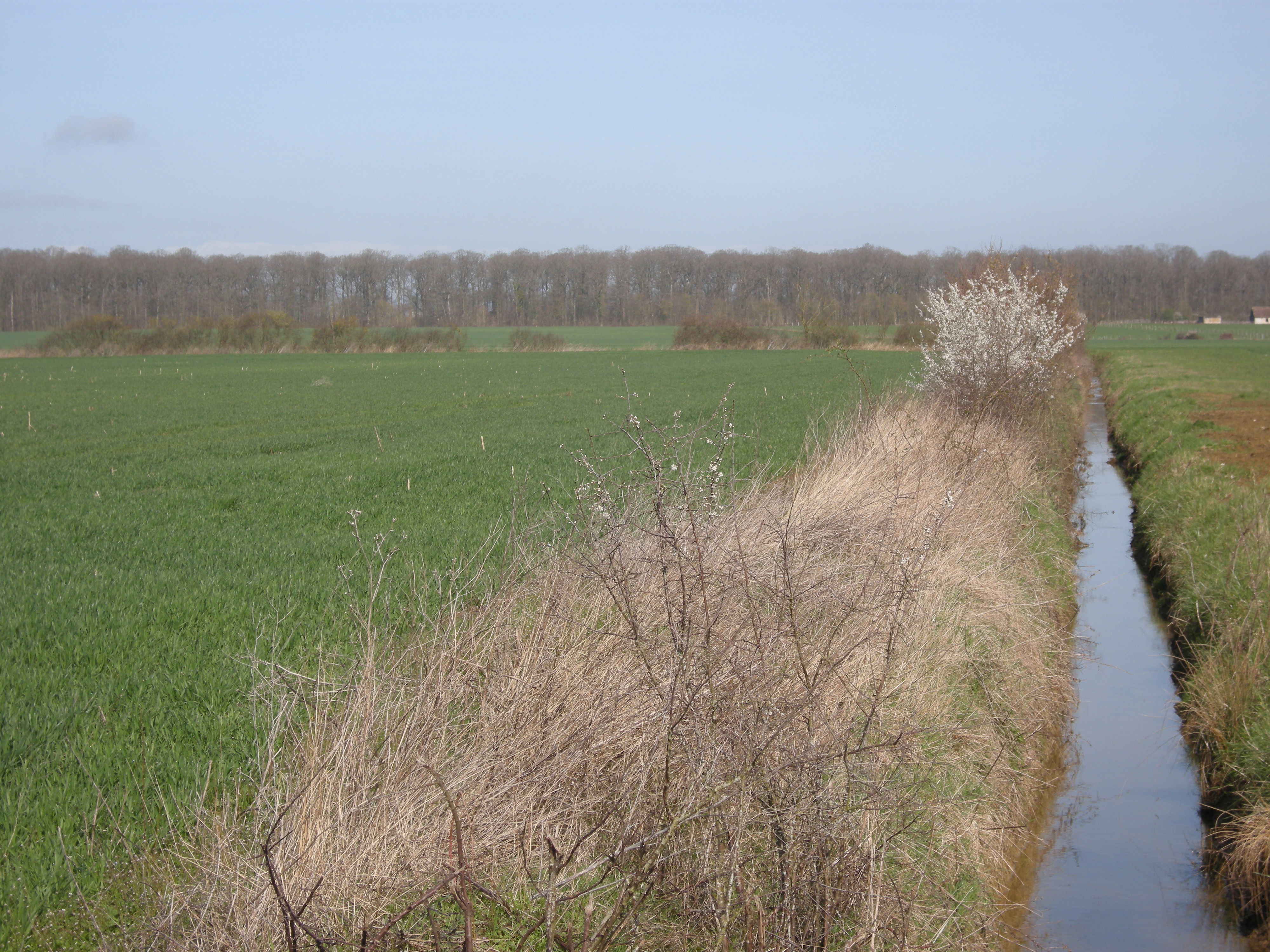 Solutions coopératives