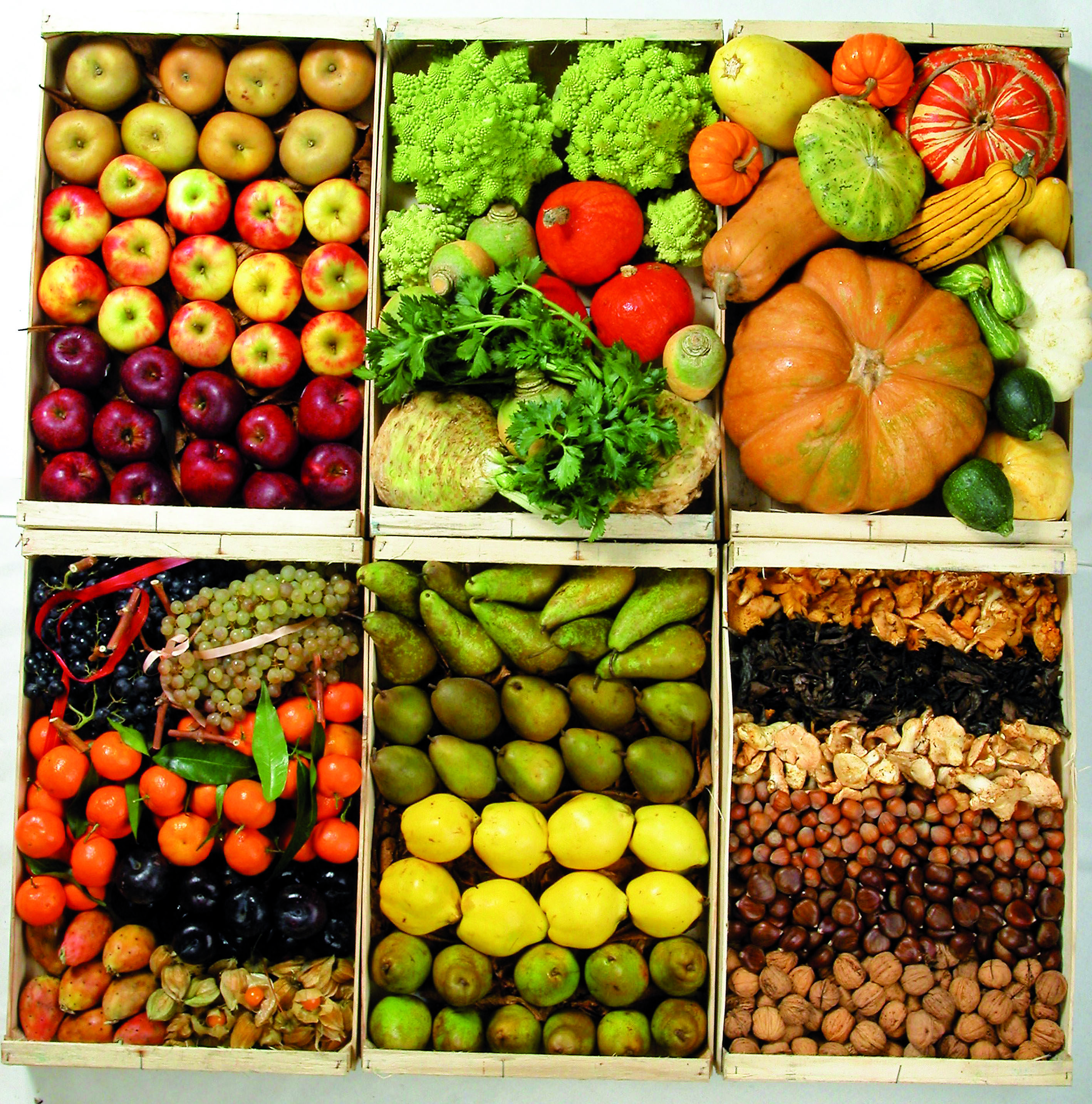 Solutions coopératives