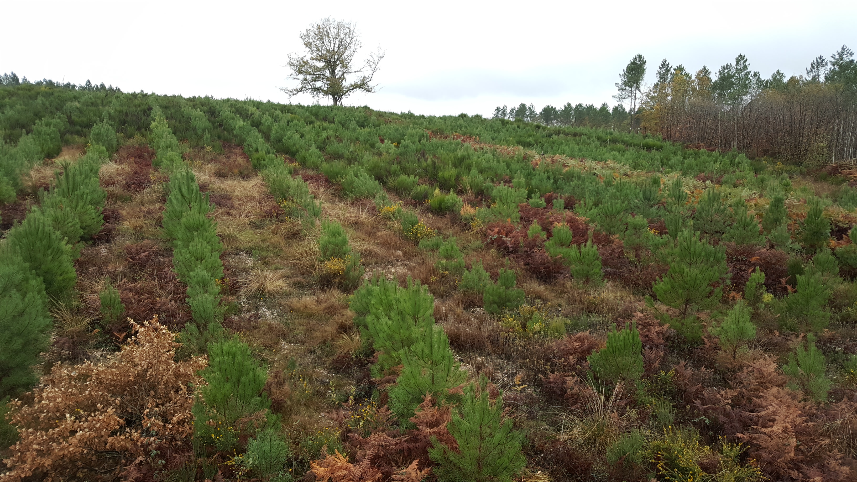 Solutions coopératives