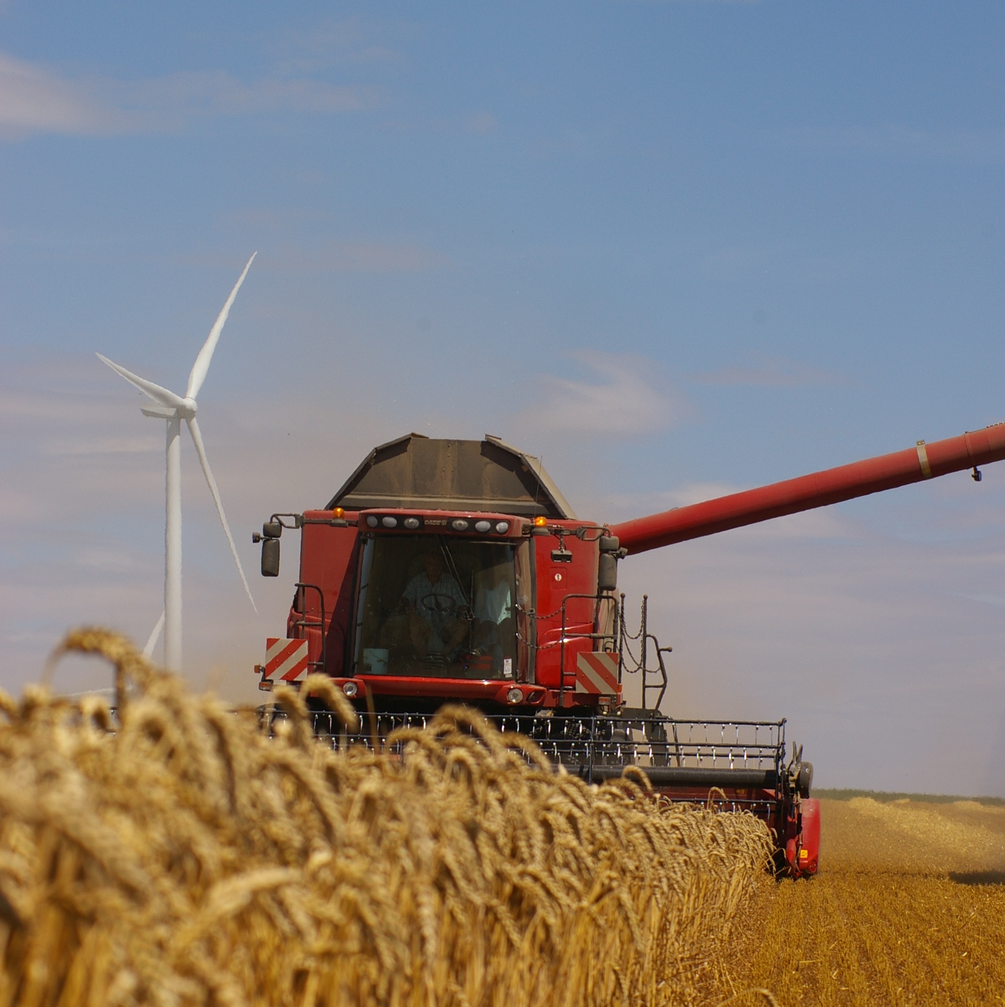 Solutions coopératives