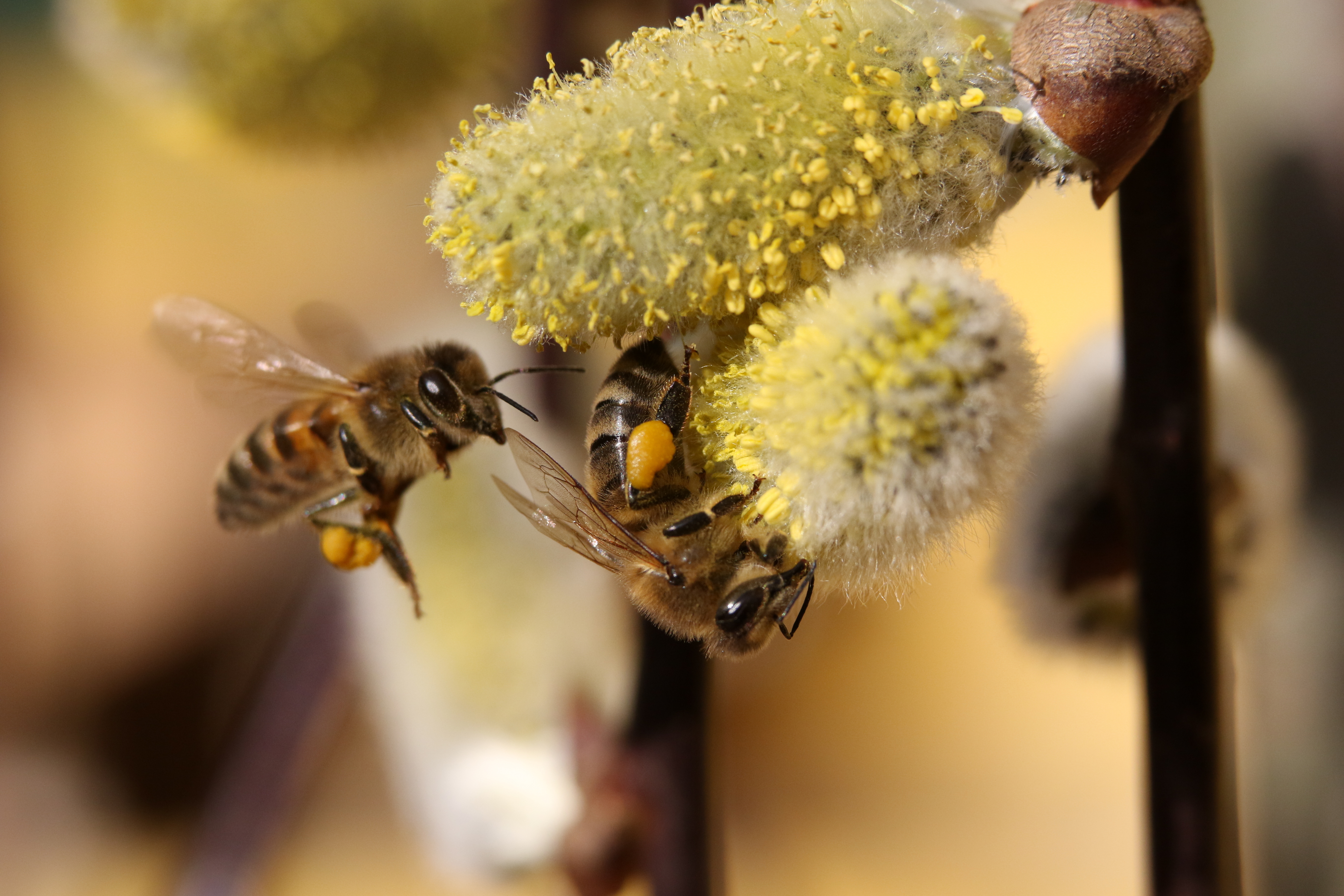 Solutions coopératives