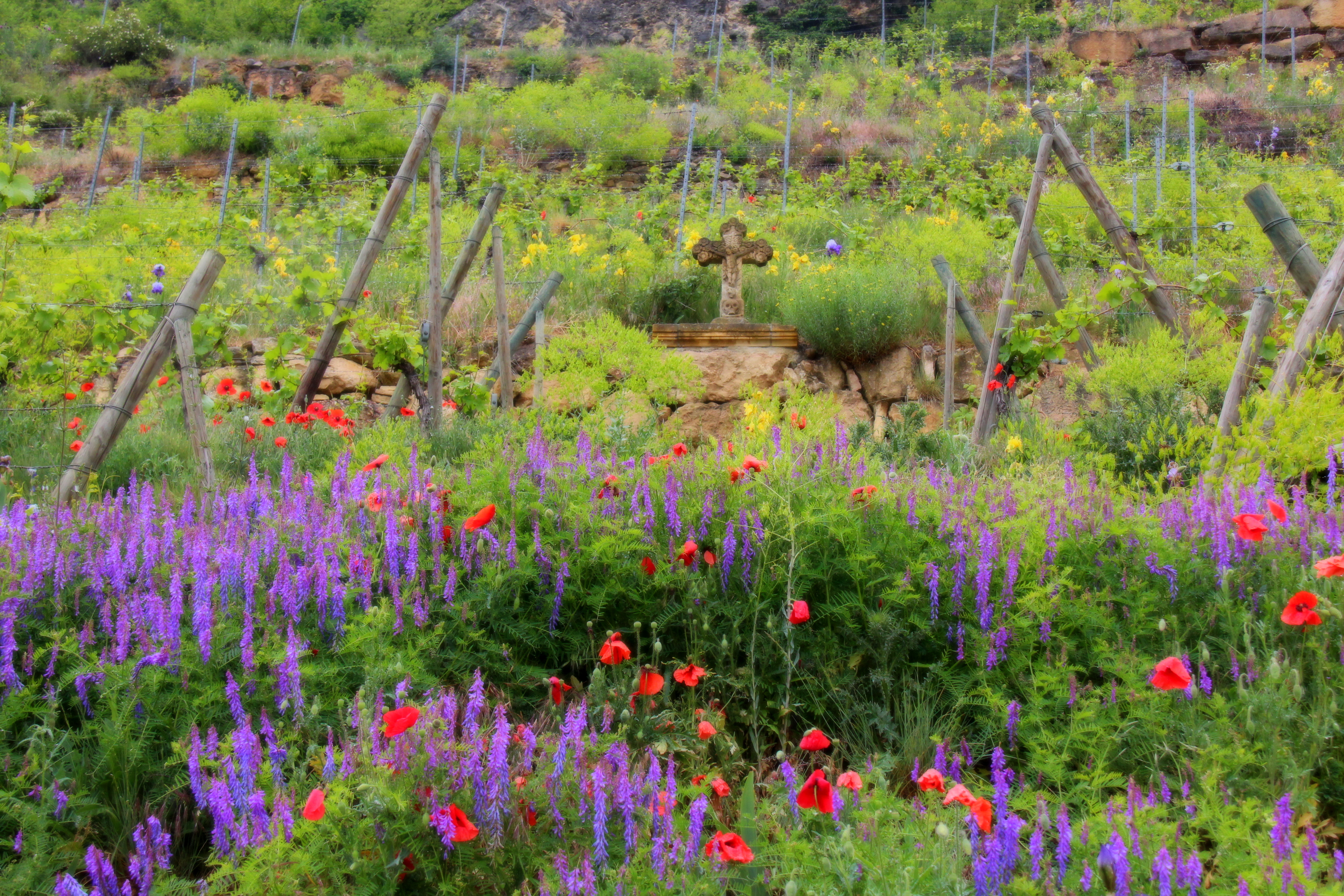 Solutions coopératives