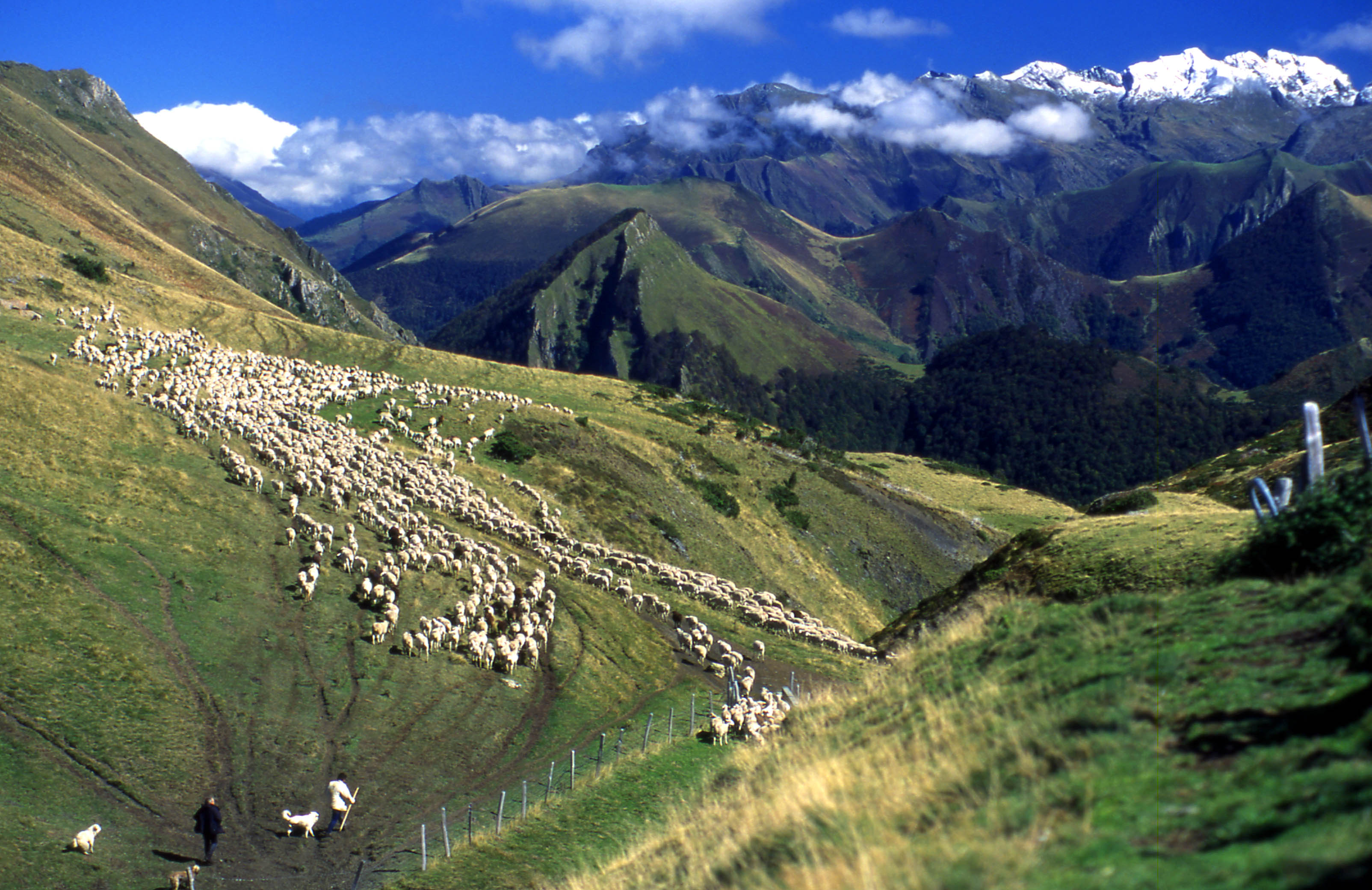 Solutions coopératives