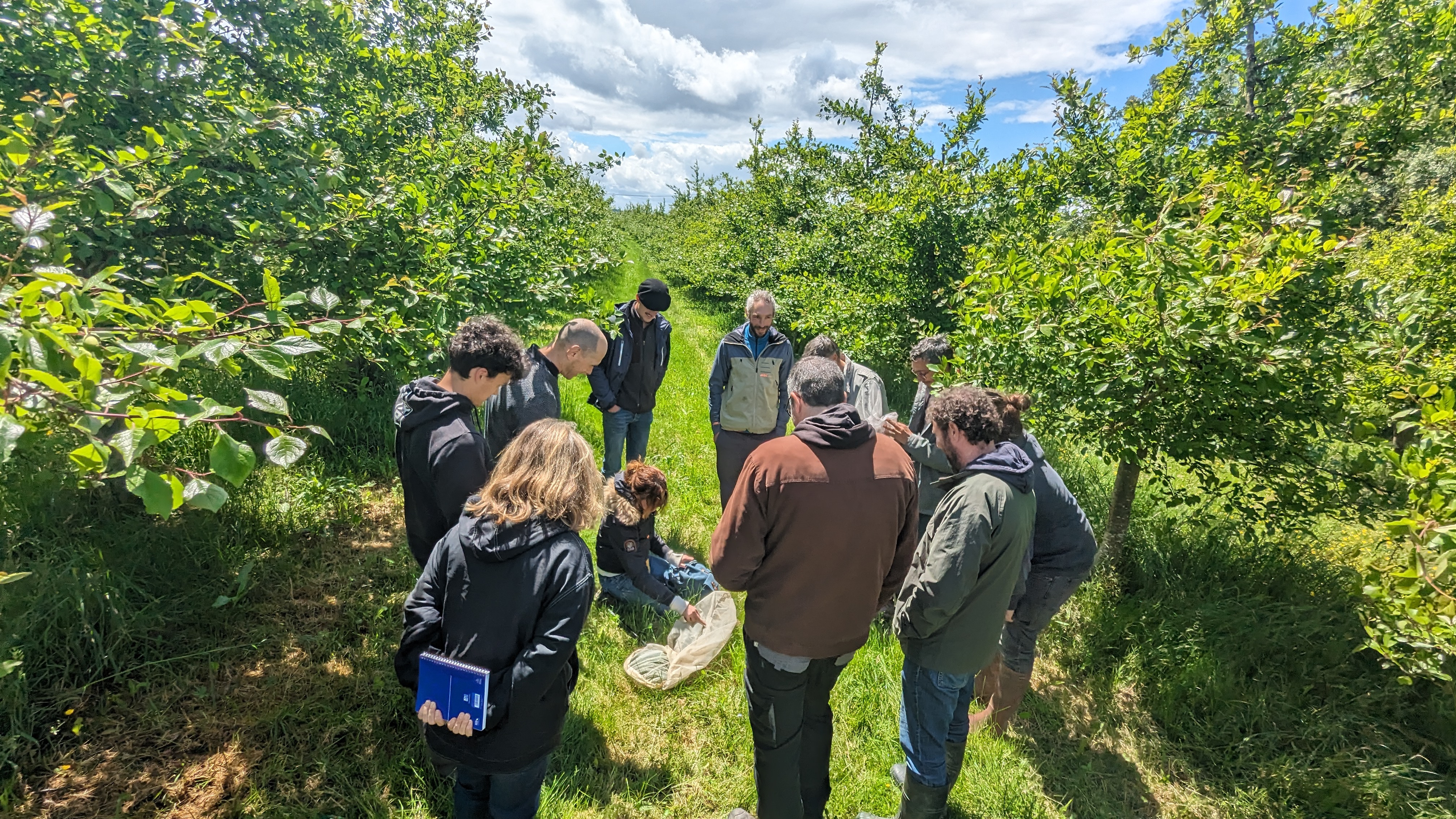 formation biodiversité