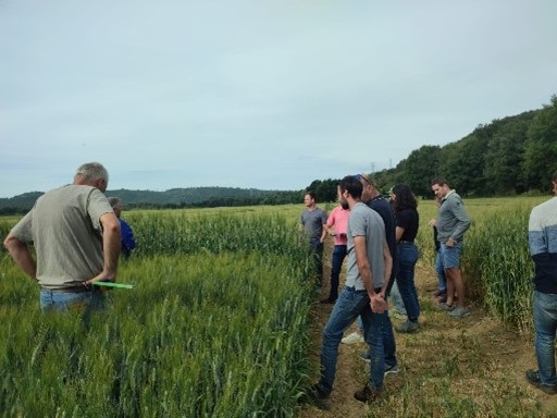 image fiche rex Duransia LBC