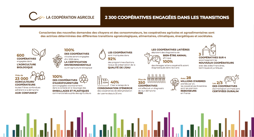 infographie "2300 coopératives engagées"