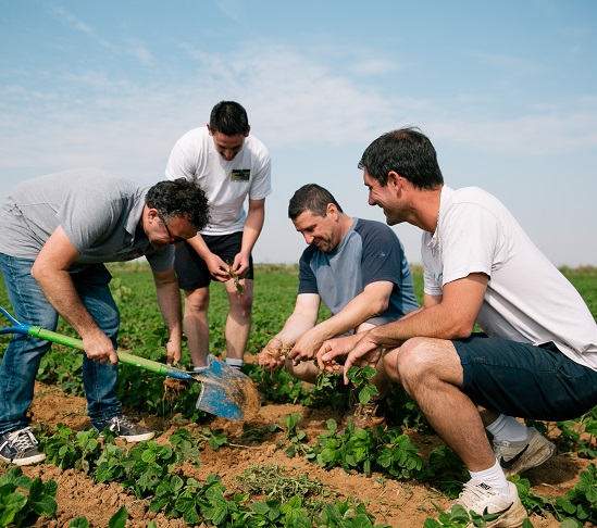 groupe de techniciens et d'agriculteurs