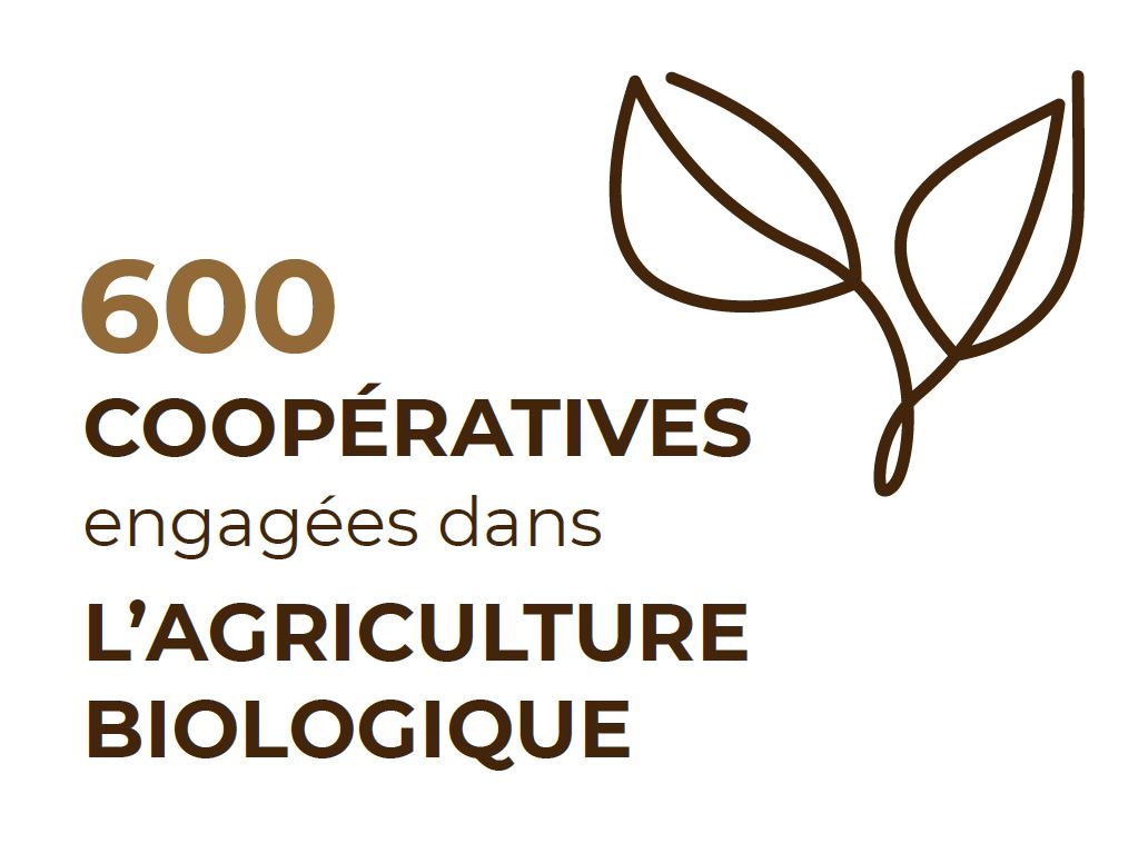 chiffres clés bio coopératives agricoles