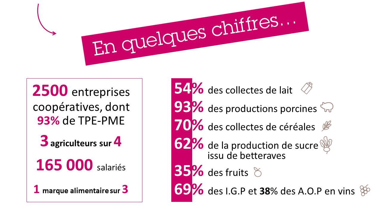 Les spécificités des coopératives agricoles présentées au SIAL 2018