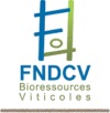 logo fndcv