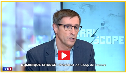 Vignette Dominique Chargé sur LCI