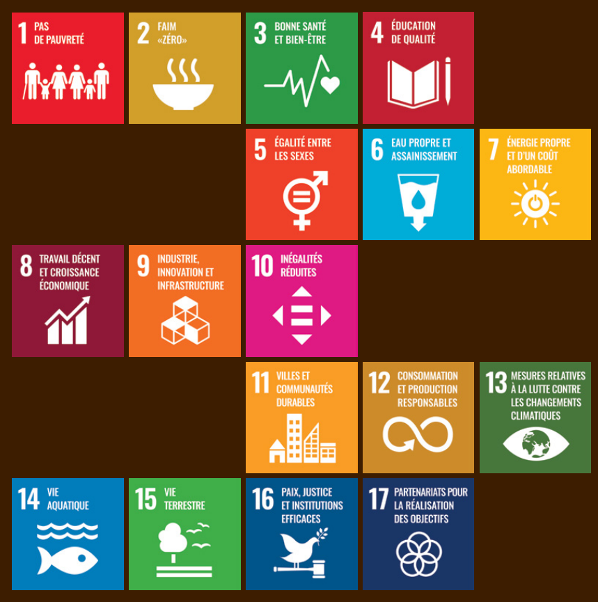 Liste des 17 Objectifs De Développement durable