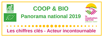 Vignette chiffres clés bio 2019