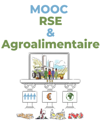 Vignette Mooc RSE