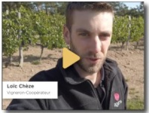 Vignette portraits jeunes