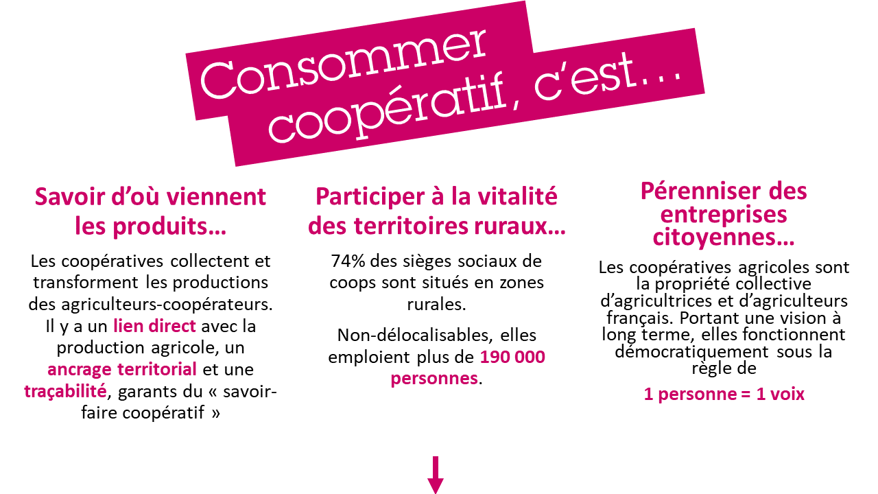 Description définition consommer coopératif : c'est savoir d'où viennent les produits, c'est soutenir les territoires ruraux, c'est pérenniser un modèle démocratique d'entreprise