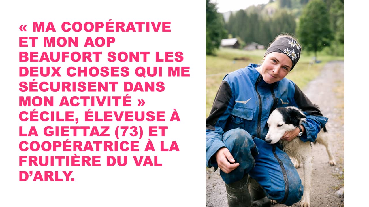 Témoignage cécile éleveuse val d'arly coopérative jeune agricultrice