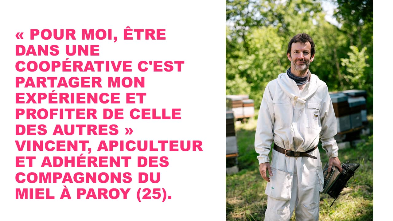 témoignage apiculteur coopérative compagnons du miel