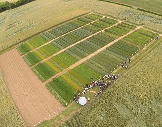 groupe d'agriculteurs