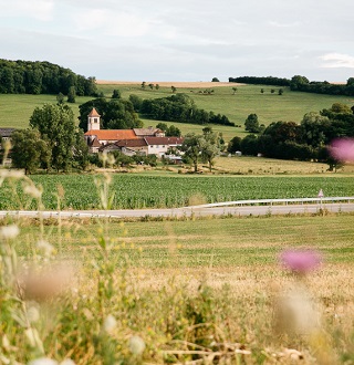 les vosges