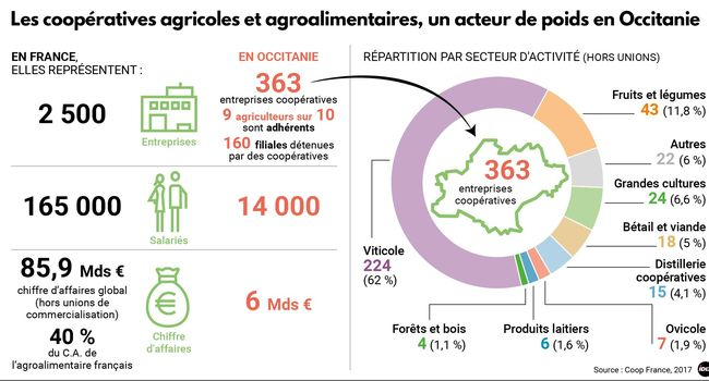 chiffre clés coop occitanie