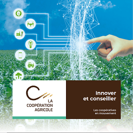 Vignette Théma "Innover et conseiller : les coopératives en mouvement"