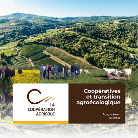 Vignette théma Coopératives et transition agroécologique : agir, animer, valoriser"